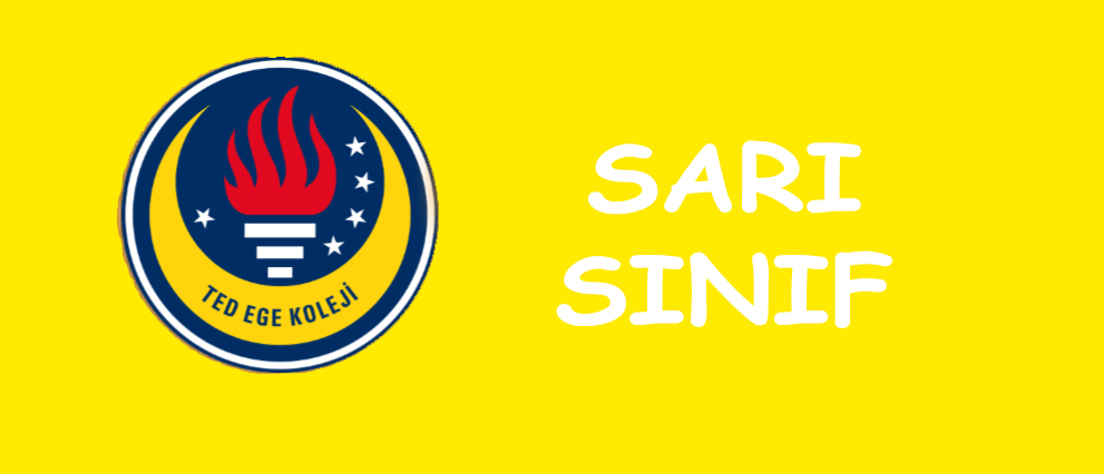 sarıbuton